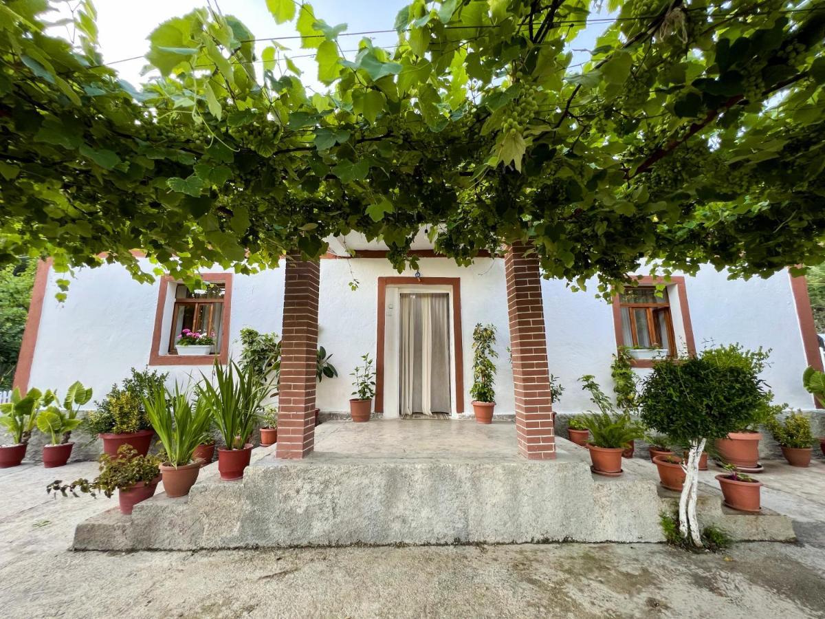 Village * Bashaj