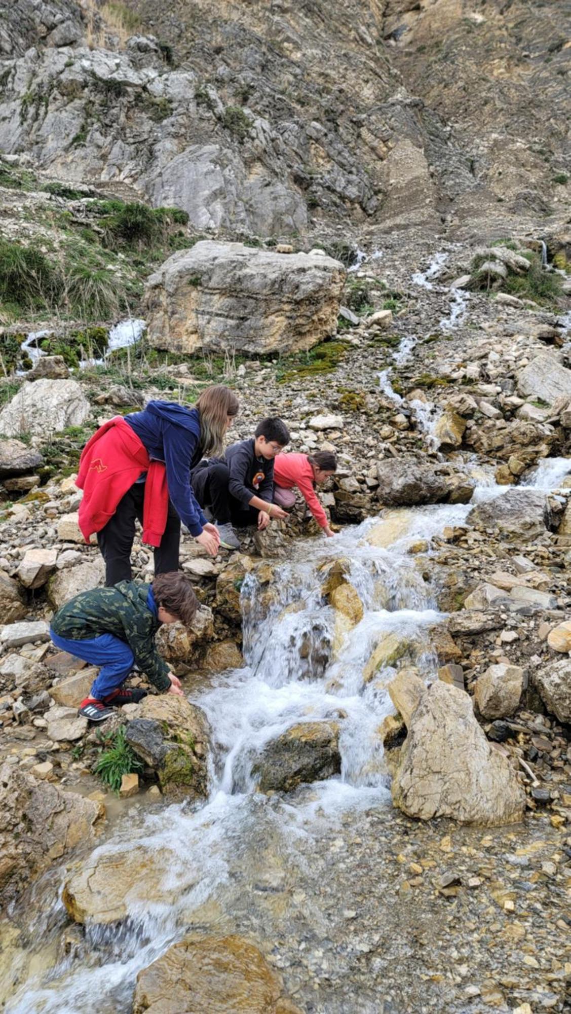 Village * Bashaj